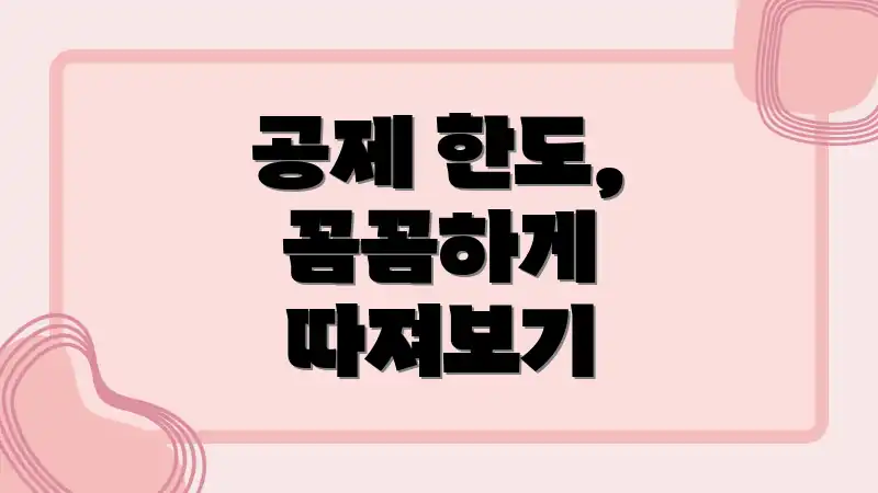 공제 한도, 꼼꼼하게 따져보기