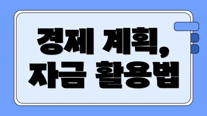 경제 계획, 자금 활용법