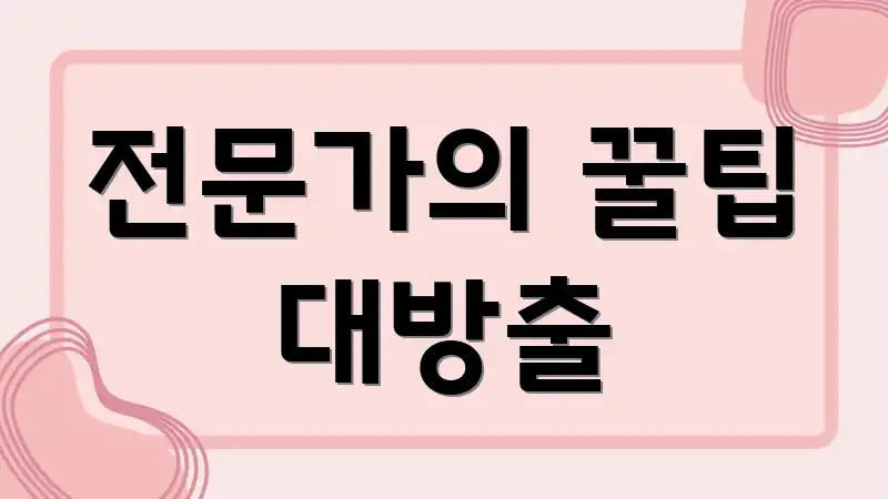 전문가의 꿀팁 대방출