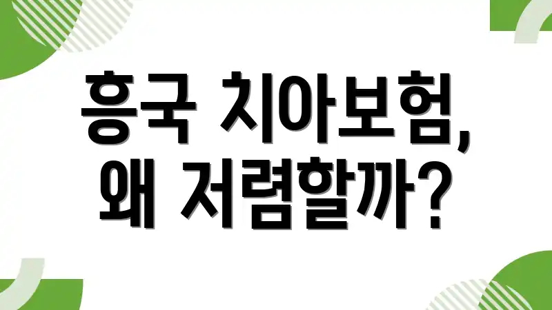 흥국 치아보험, 왜 저렴할까?