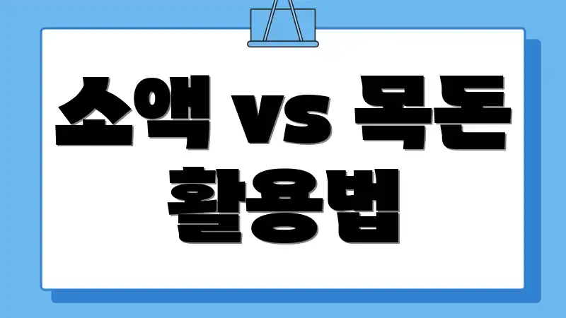 소액 vs 목돈 활용법
